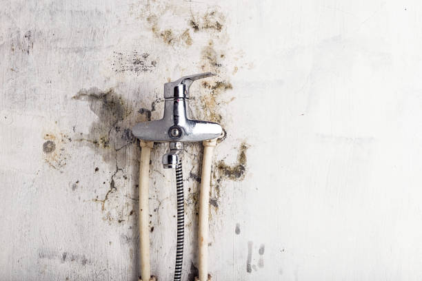 Best Office Mold Removal Services  in Vineyard Haven, MA