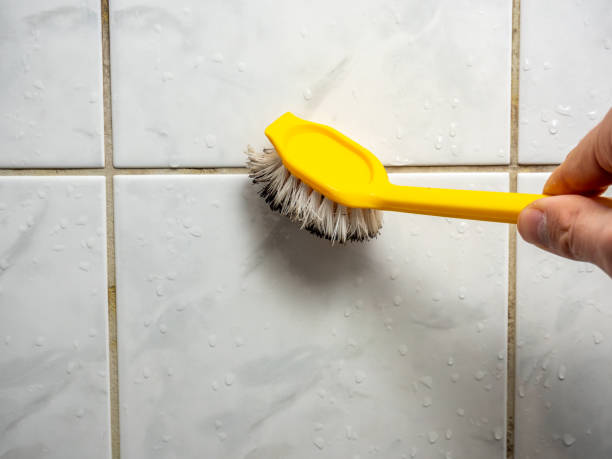 Best Same-Day Mold Removal  in Vineyard Haven, MA