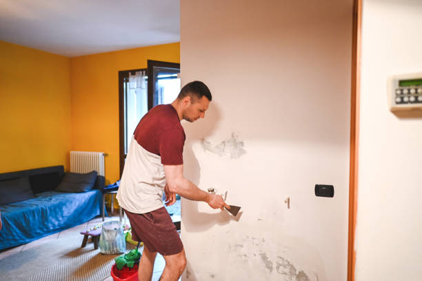Best Mold Removal Process  in Vineyard Haven, MA